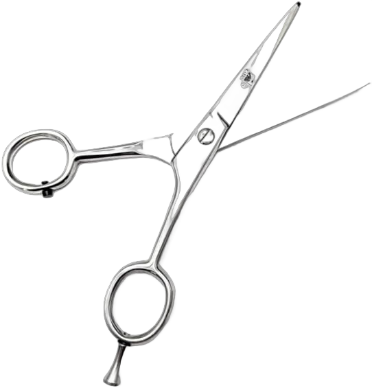 G.B.S Men's 3n1 Trimming, Cutting and Styling Beard Scissors, Stainless-steel Scissors for Beard, Mustache, Eyebrow, Nose Hair, Leather Travel Case and Beard and Mustache Comb